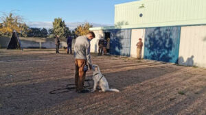 Gonzalo Rodríguez adiestramiento canino Madrid