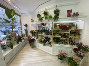 Floristeria Le Fleuriste