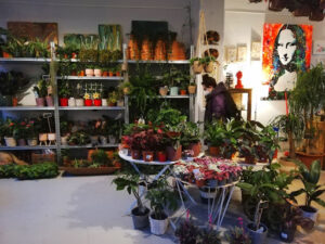 Plantas luego existes