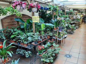Centro de Jardinería Aragón