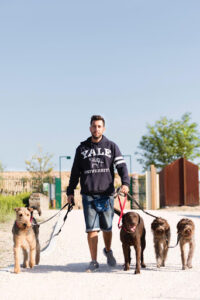 Dog & Life Adiestramiento Canino