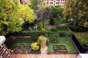 Residencia Geriátrica Las Rosas