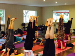 Escuela Internacional de Yoga