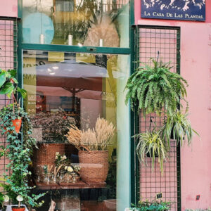 La casa de las plantas