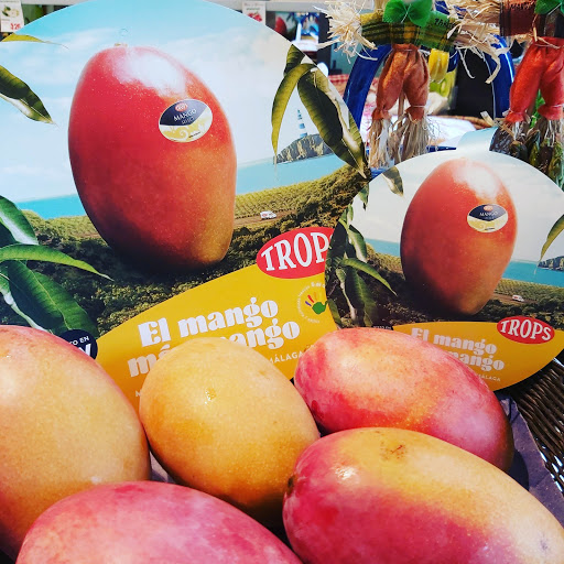 Frutas203Gourmet en Instagram Siguenos¡¡