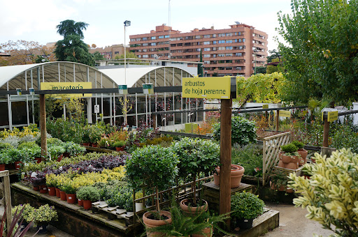 Casla Jardinería y Paisajismo