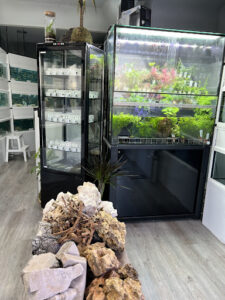 Aquasalvaje