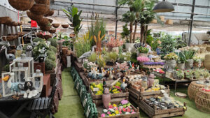 Florabella Horticultura S.L.