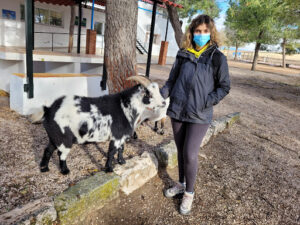 La Granja Madrid, granja escuela y Ability Training Center