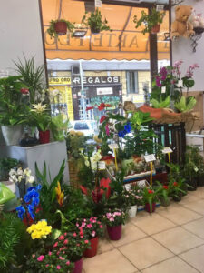Floristería la flor de la canela. Flores a domicilio Madrid.