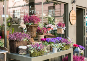 Sally Hambleton for The Workshop Flores