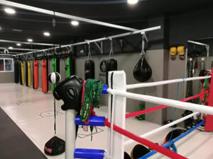 KARURA RIO muay thai,boxeo,jeet kune do,jiu jitsu japones,etc..