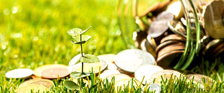 15 Mejores tiendas de plantas en Madrid