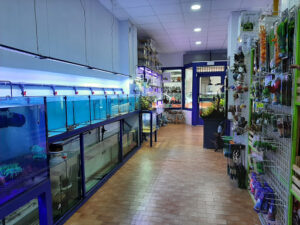 Aqualoto