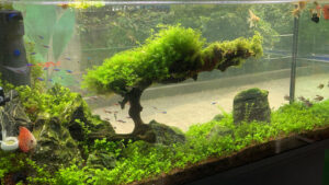 Acuario Costa Rica