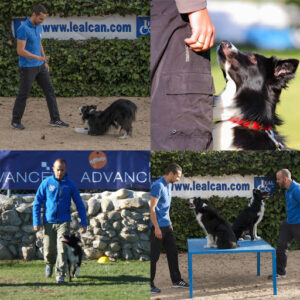 LealCan Adiestramiento canino