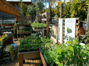 Casla Jardinería y Paisajismo