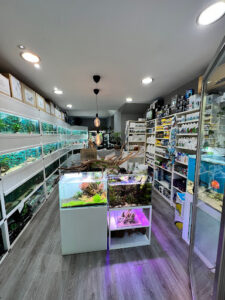 Aquasalvaje