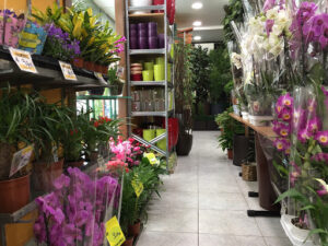 El Jardín de la Abuela