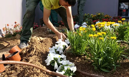 JARDINERÍA PROFESIONAL Sierra de Madrid S.L. (ALMACENES)