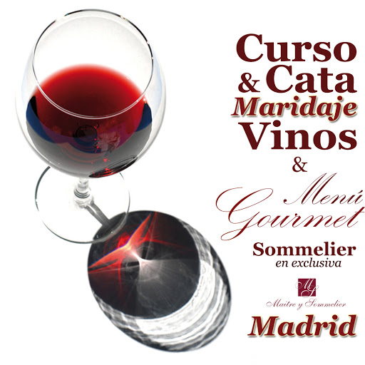 Curso de Cata de Vinos en Madrid