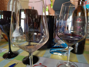 Catas de vinos Madrid