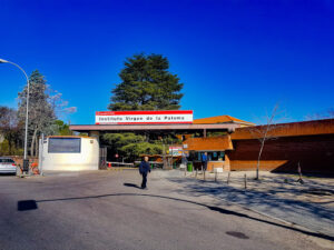 IES Virgen de la Paloma