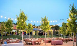 Astilbe by Eneldo Catering