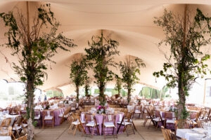 Bodas Colorín