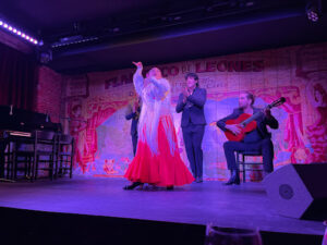 Flamenco de Leones