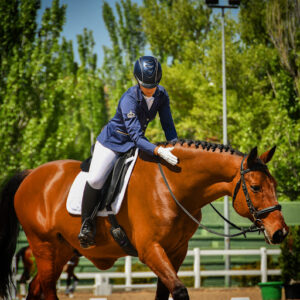 Riding Dreams Horse Xperience