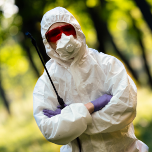 Biocisal Control de Plagas Madrid SL - Desratización, Desinsectación y Desinfección