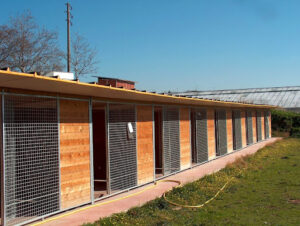 Canhotel residencia canina