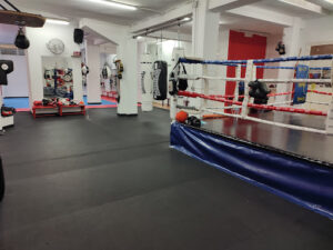 Boxeo El Rayo - Carabanchel Ⅱ