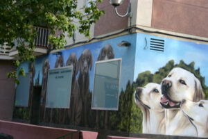 Centro Veterinario Aluche Las Águilas
