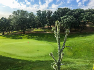 Club de Campo Villa de Madrid