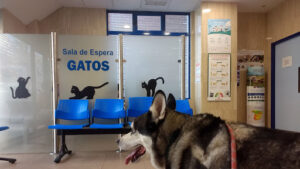Hospital Veterinario Mediterráneo