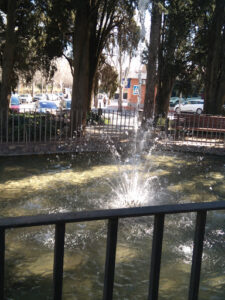 Parque de Los Patos
