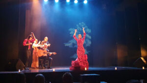 Teatro Flamenco Madrid