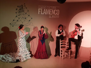 CENTRO CULTURAL FLAMENCO DE MADRID