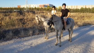 Multiaventura Madrid A Caballo