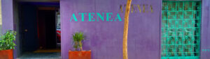 Atenea Academia de Arte