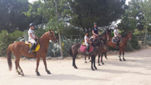 Escuela de equitación y Pony Club Perales del Rio