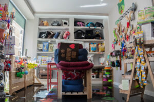 Consentidos: accesorios para mascotas
