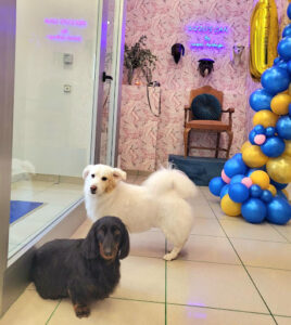 Peluquería Canina Rizzo's Can Centro Estético Canino