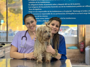 Hospital Veterinario Privet Aluche