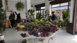 Plantas luego existes