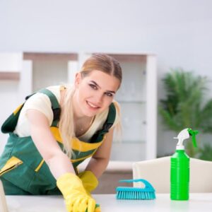 Fortuny Servicios para el Hogar SL.