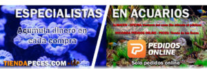 Tiendapeces.com - Almacén