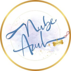 Nube Azul